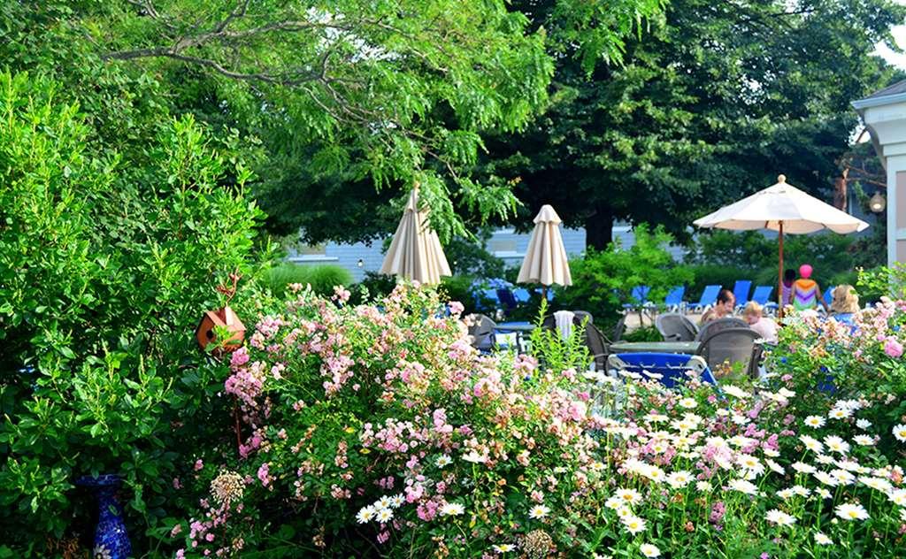 Margaritaville Resort Cape Cod Hyannis Ανέσεις φωτογραφία